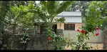 5 സെന്റ് ഒറ്റപ്പുന്ന, velorvatttom 33 lakh