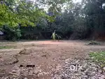 40 cent property for sale
