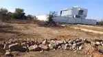 240 square yard, JDA, North, Residential plot for sale at Jagatpura