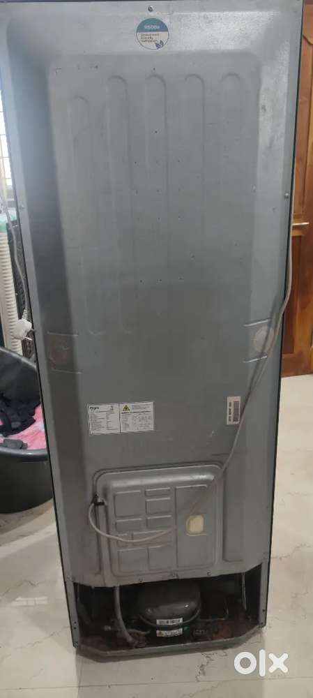 MarQ Double door refrigerator 231 L Compressor not working