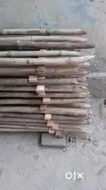 Shutring shop