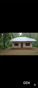 പാലോട് ഹരിതാഭമായ ഏരിയ യിൽ 40 സെന്റ് വസ്തുവും വീടും.