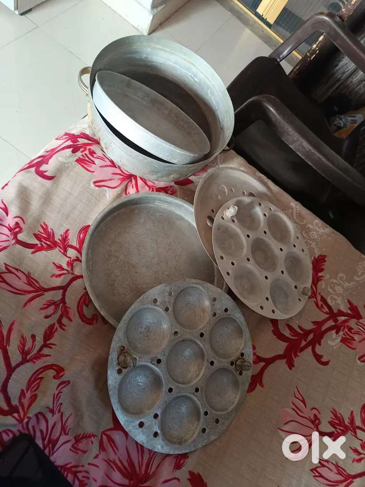 Idli Oven and Khaman Oven