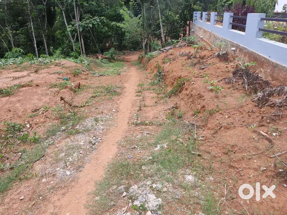 പയ്യമ്പള്ളിയിൽ 10 cent house plot for sale.