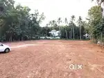 45 Cent Plot for Sale at Neyyatinkara