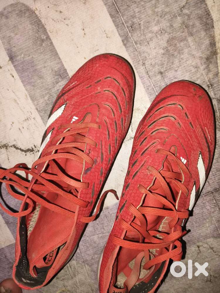 Baghajuddin Kishore Bharat