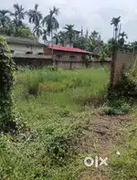 1katha 3Lessa miyadi Land for sale boundary wall at Sakuchi Guwahati..