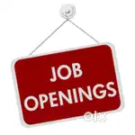 Urgent opening need typing and english