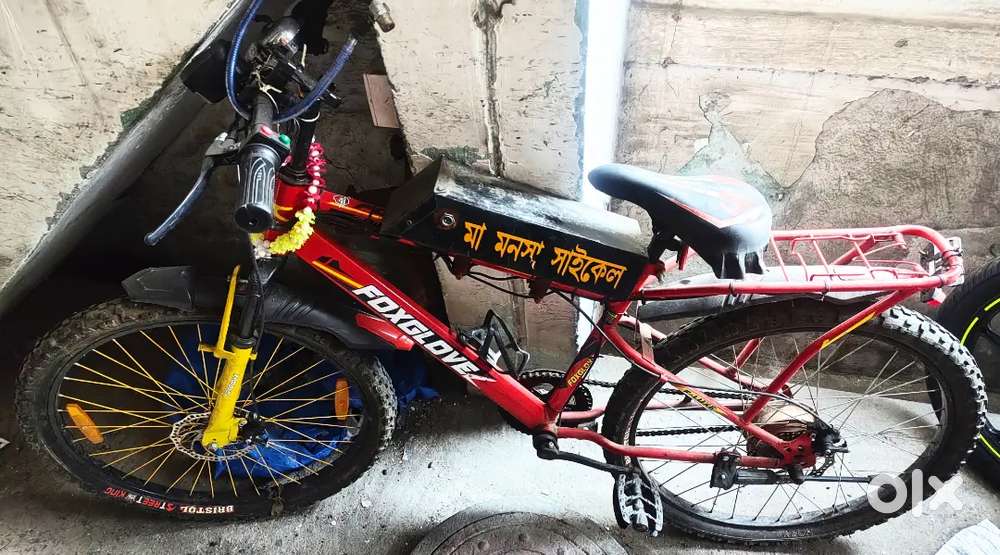 New EV,(Motor With Battery)By Cycle,Only 3 Months Old,1 Year Warranty