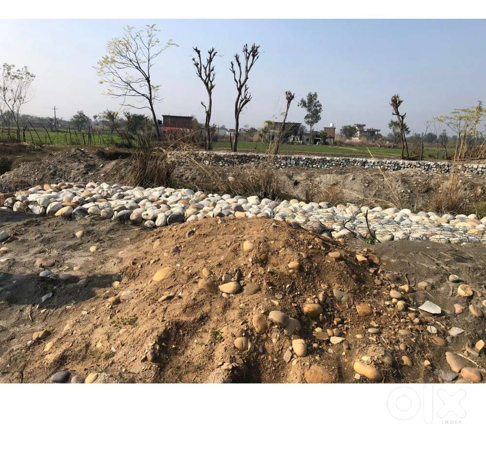 Vacant land for sale - katohar khurd, amb, district una (HP)