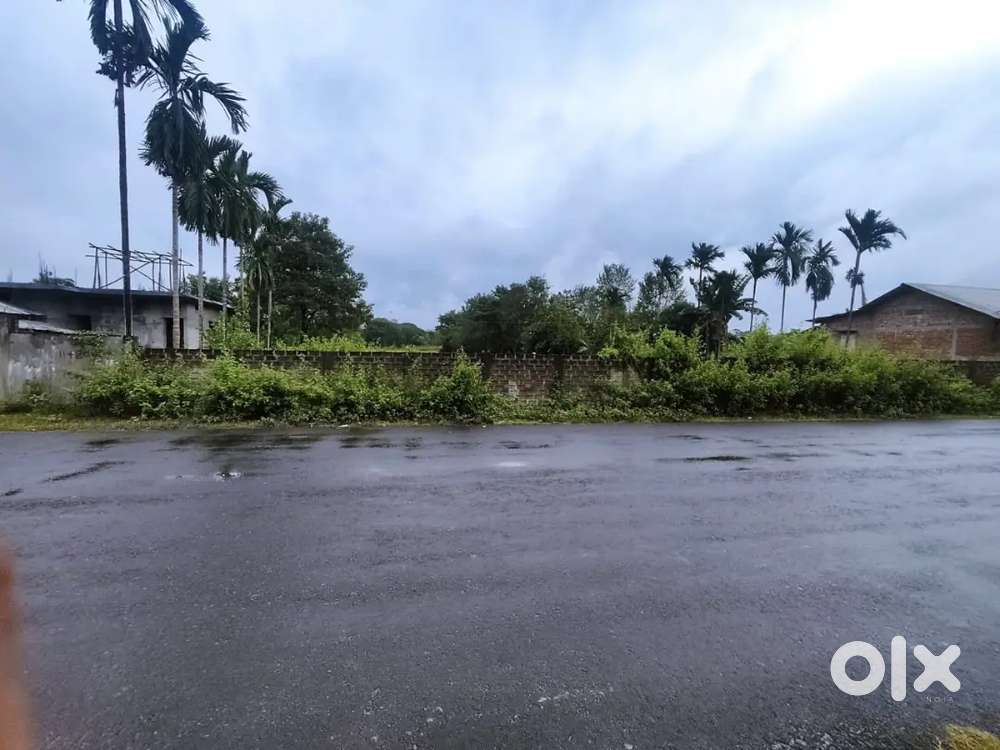 Sale 10 bigha land with building and more..