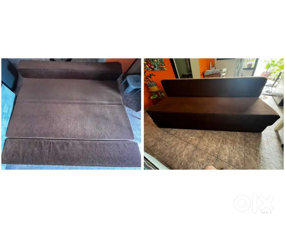 Spring well SOFA cum BED King size