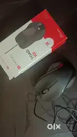 New mouse portorinic toad 101