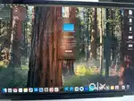 MacbookPro 16 with TouchBar | 16GB DDR4 RAM | 1TB SSD | Intel Core i9