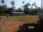 70 cent.5cent.10cent plot more