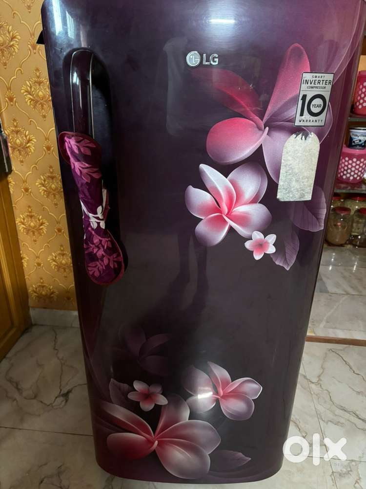 LG single door