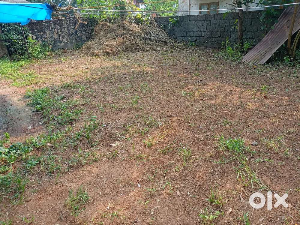 Near L P school pudurkkara, near ayyanthole collecterate