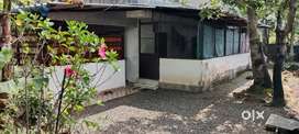 Aluva east kadungalloor.10cent (nilam)& old house 3bhk 40/-lakhs sale