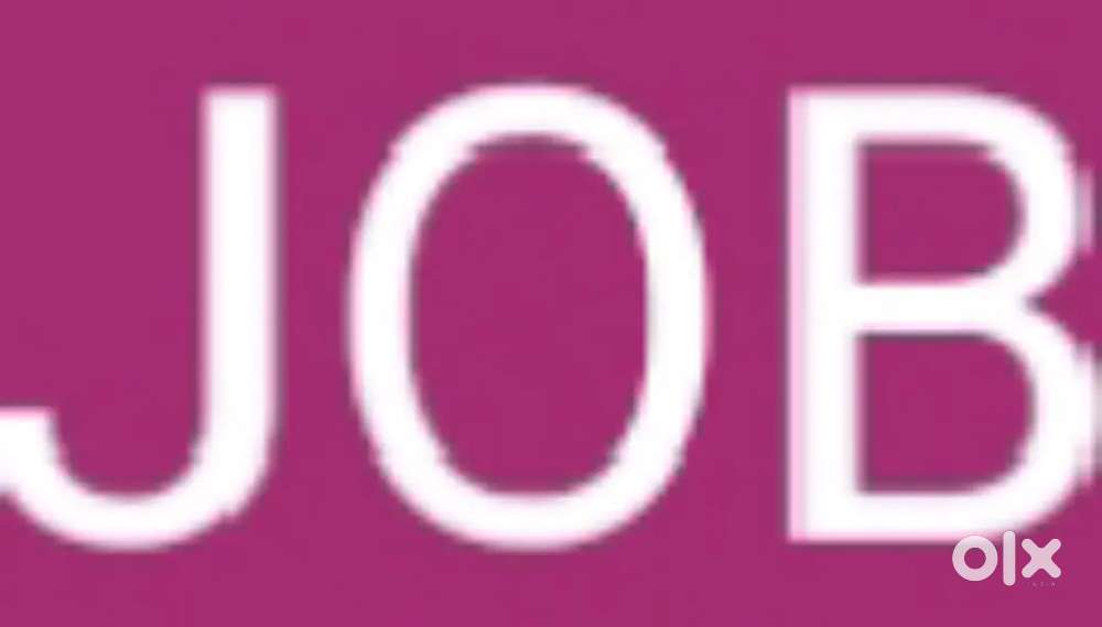 Required Female IT Developer