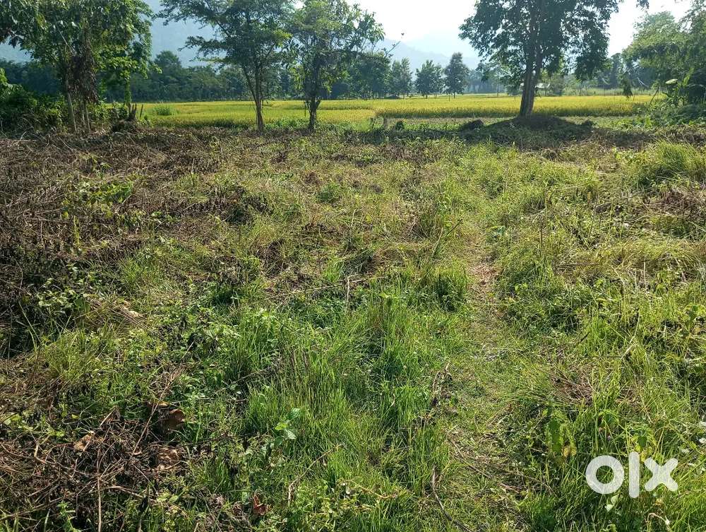 3 to 4mnts walk from the village