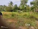 ഇത് vellarkulam place .ഇവിടെ നിന്നും പഴയന്നുർ സിറ്റിയില്ലേക് 2km ആണ്