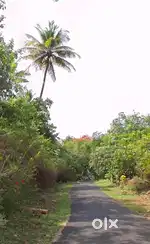 Agricultural land