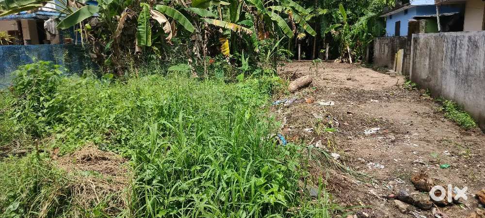 2.6 Cents House plot for sale in Mulavukad near Mulavukad panchayat