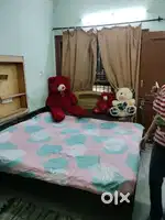 Pg for girls in sector 40