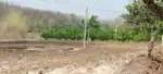 Agriculture land 1/2acre sell on katol dharti murti state hiway