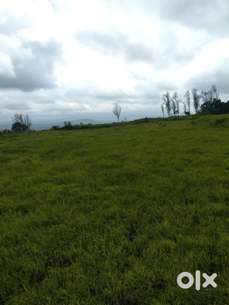 Plot for sale Jotiba Gaimukh road