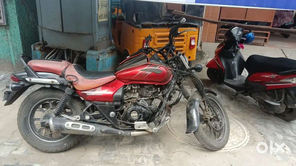 Need A Collection Boy