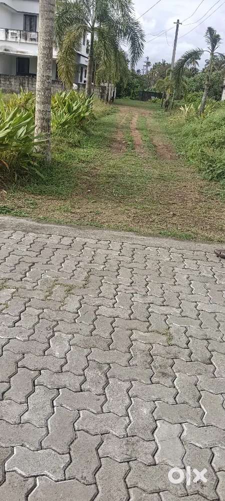 Aluva karumalloor 5 ct plot ct 5 lk