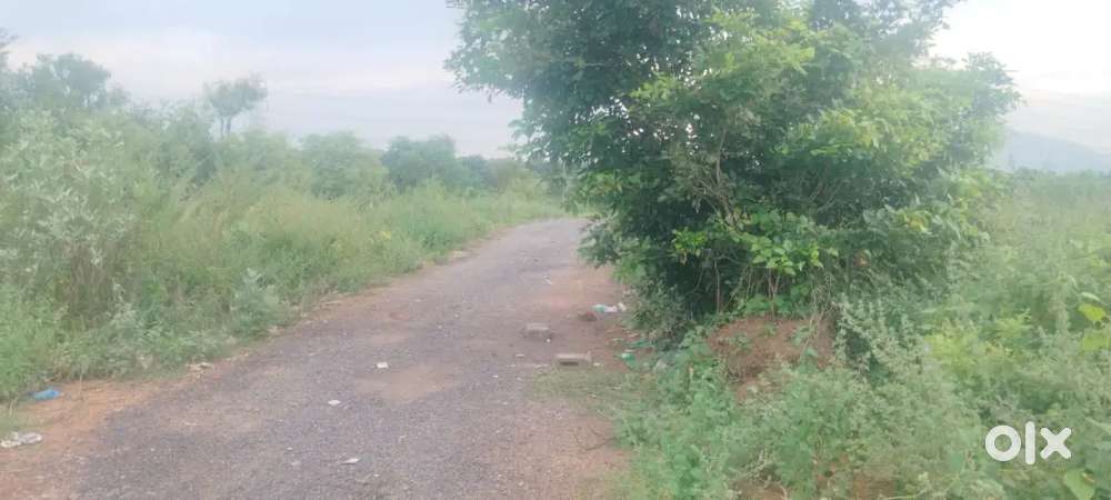 plots  for sale very low price with dtcp