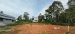 House plots-30cent Near Chengaroor Jnctn- 150m frm Tvla-Mallapaly road