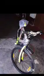 Bicycle new condition