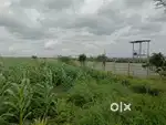 Agriculture land for sale