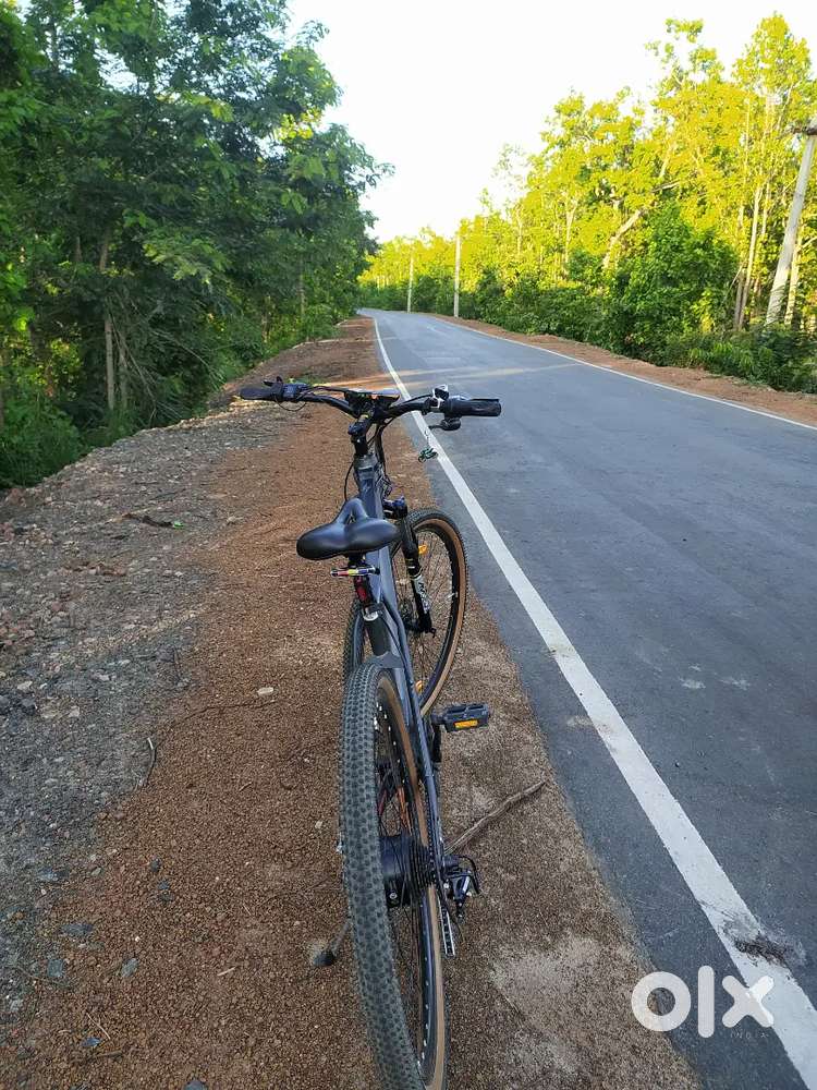Electric cycle