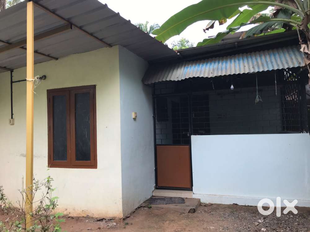 House For Rent