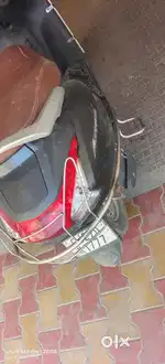 All company services