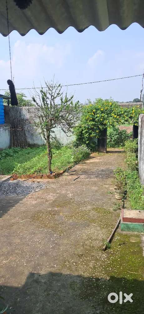 Reasonable cost home with greenery veiw at regada sambalpuri road
