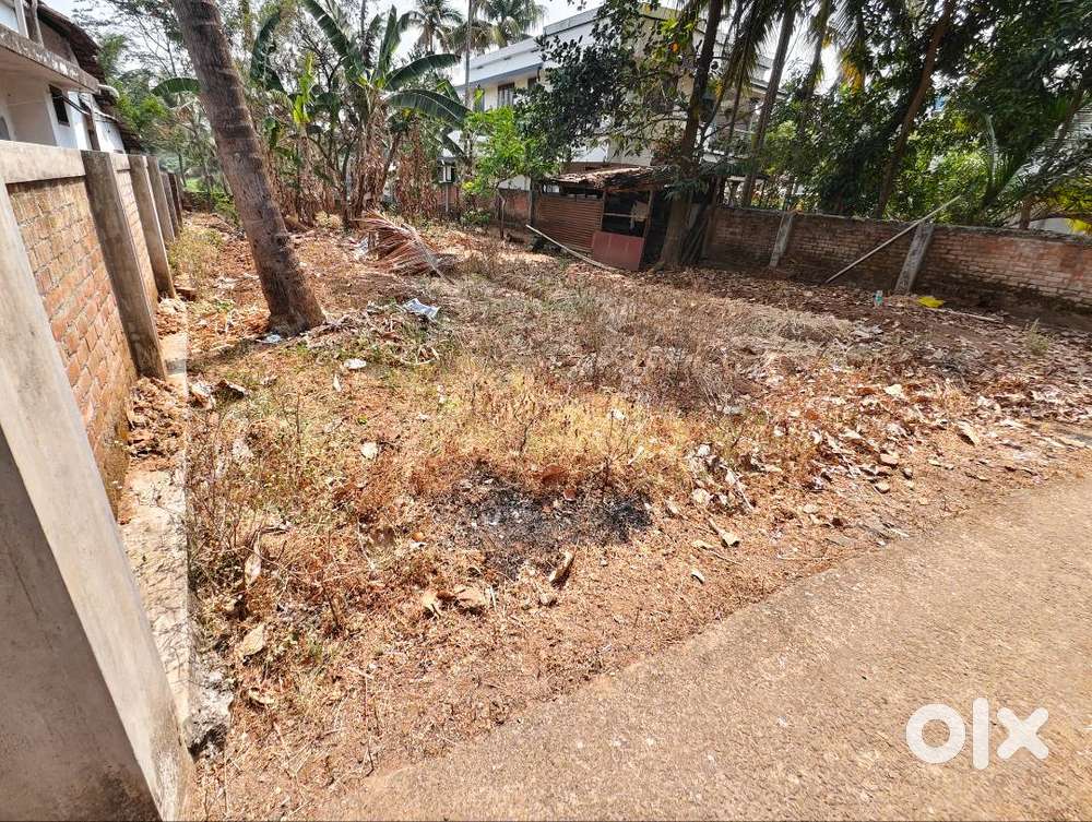 10 Cent residential Plot for Sale near Kalathodu convention centre