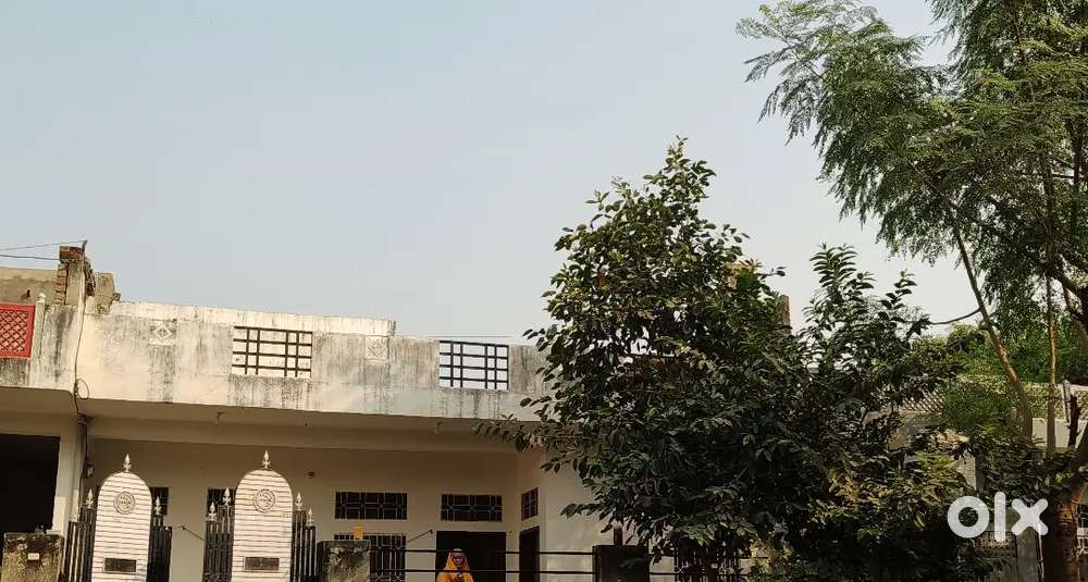 Individual house for rent