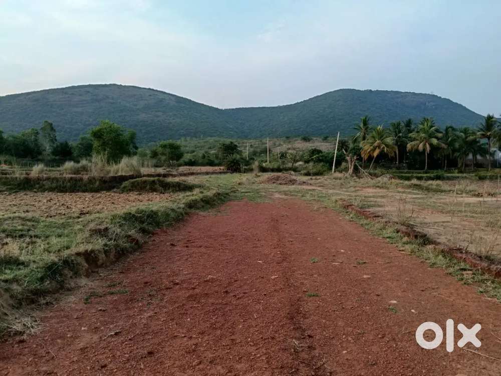 Near AIPHU university jatani IIT main gate road