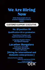 Voice process executive