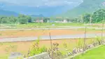 LOW BUDGET PLOT FOR SALE IN CHODAVARAM