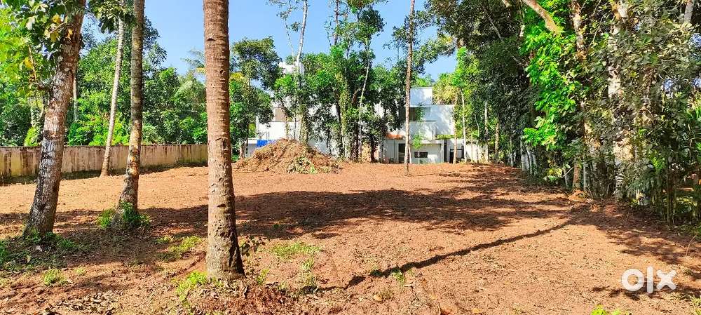 22 Cent Land For Sale