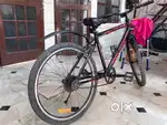 URBAN TERREIN CYCLE