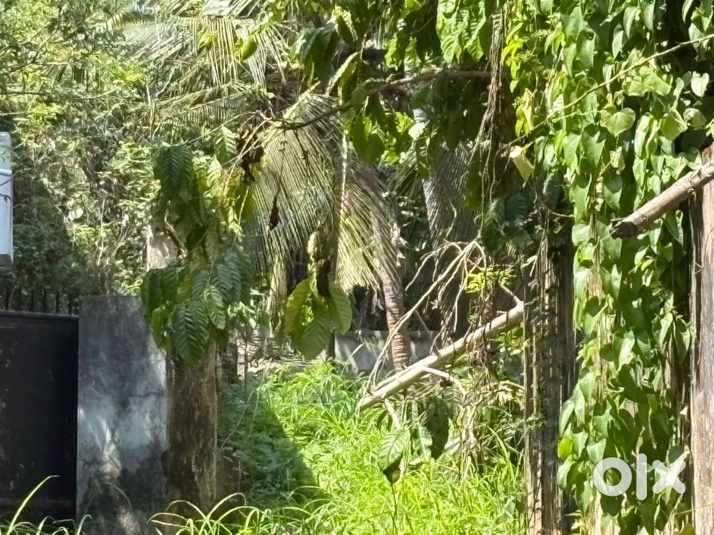 16 Cent Commercial cum Residential  Dry Land For Sale Santhosh Nagar