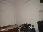 Need  flatemate
