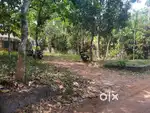 10 cent land or plot for sale in kanjoor,near airport,aluva,Angamaly